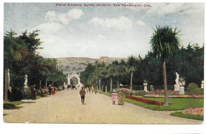 Palm Avenue, Sutro Heights, 1890s, Adolph Sutros gift to San Francisco. Postcard