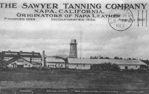 Sawyer Tanning Co. of Napa, California