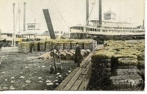 Exports at the New Orlean's Docks, Vintage Postcard