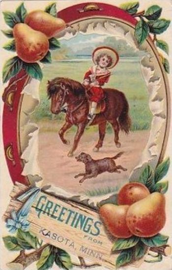 Cowgirl Minnesota Vintage Postcard